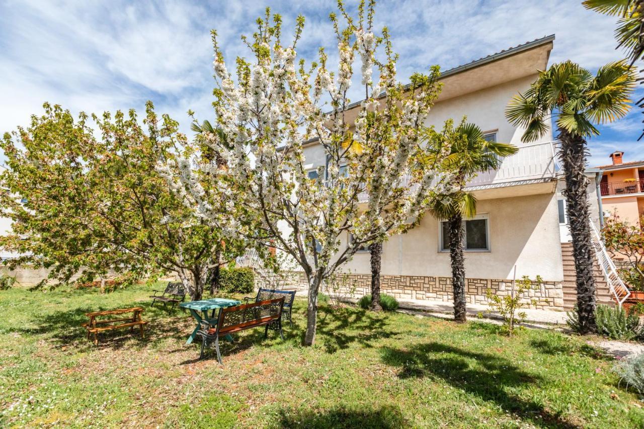 Pavle Appartement *