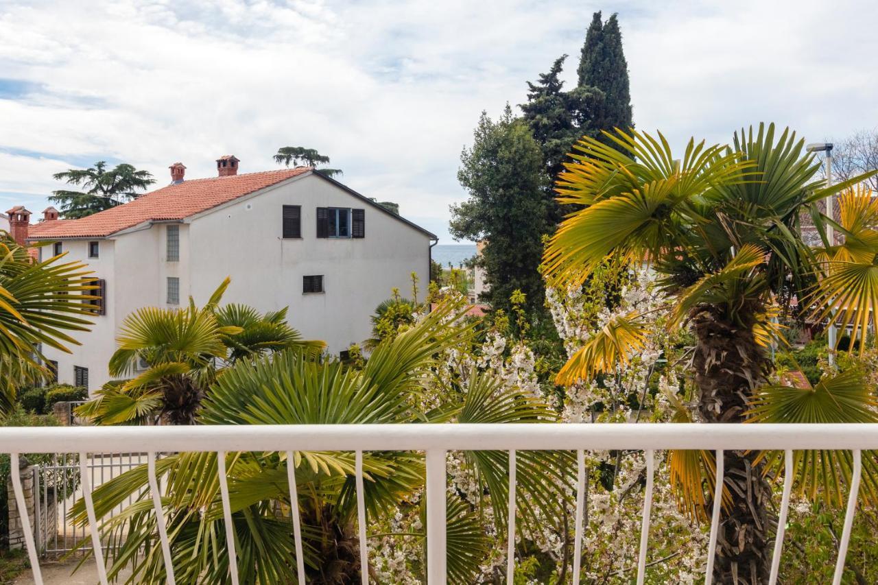 Pavle Appartement